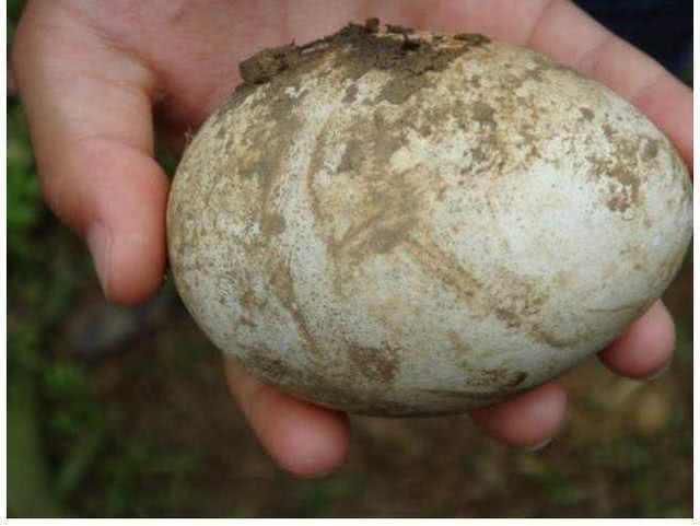 e18ed92e4f9b4f940cc87386e8f5d599.jpg e18ed92e4f9b4f940cc87386e8f5d599.jpg